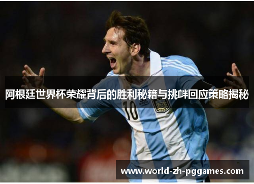 阿根廷世界杯荣耀背后的胜利秘籍与挑衅回应策略揭秘