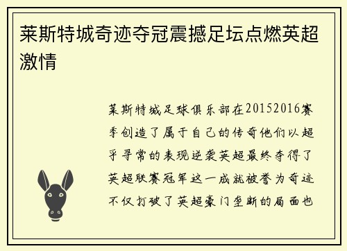 莱斯特城奇迹夺冠震撼足坛点燃英超激情 莱斯特城奇迹夺冠震撼足坛点燃英超激情